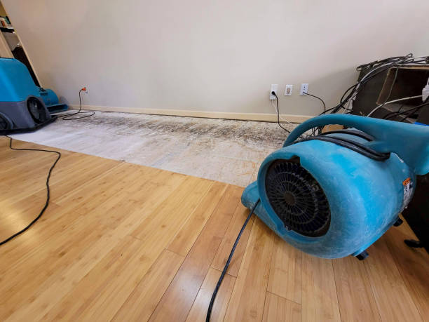 Professional Basement Flood Cleanup technician working in Hereford, CO